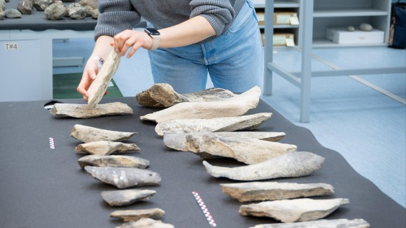 Alat Tulang Homo erectus Ditemukan Lebih Awal, 1,5 Juta Tahun Lalu di Tanzania