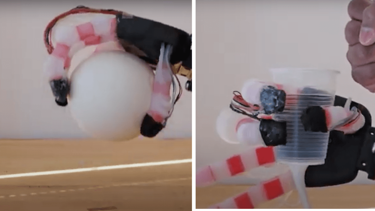 Prostetik Tangan Bionik Johns Hopkins Ciptakan Fungsi Sentuhan Alami