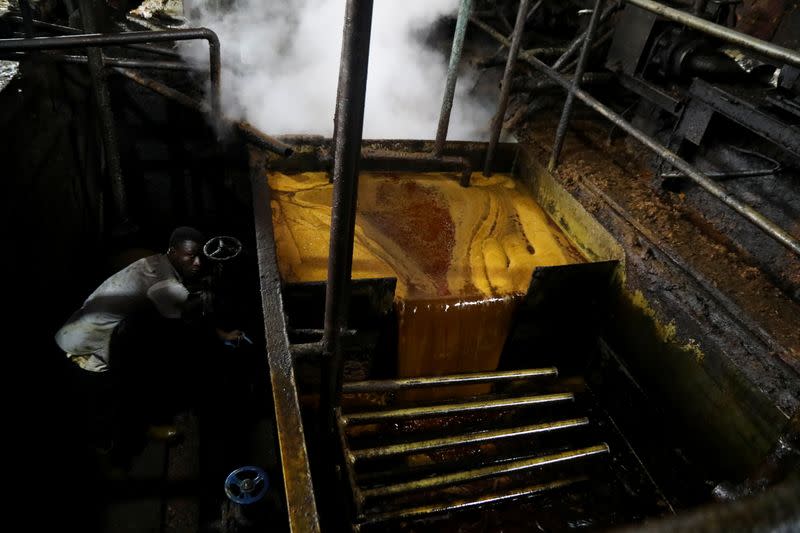 Harga Minyak Sawit Melonjak karena Produksi Terhambat dan Dorongan Biodiesel Indonesia