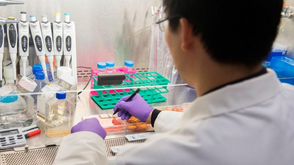 Pemotongan Dana NIH Bisa Hancurkan Riset Medis dan Inovasi di AS