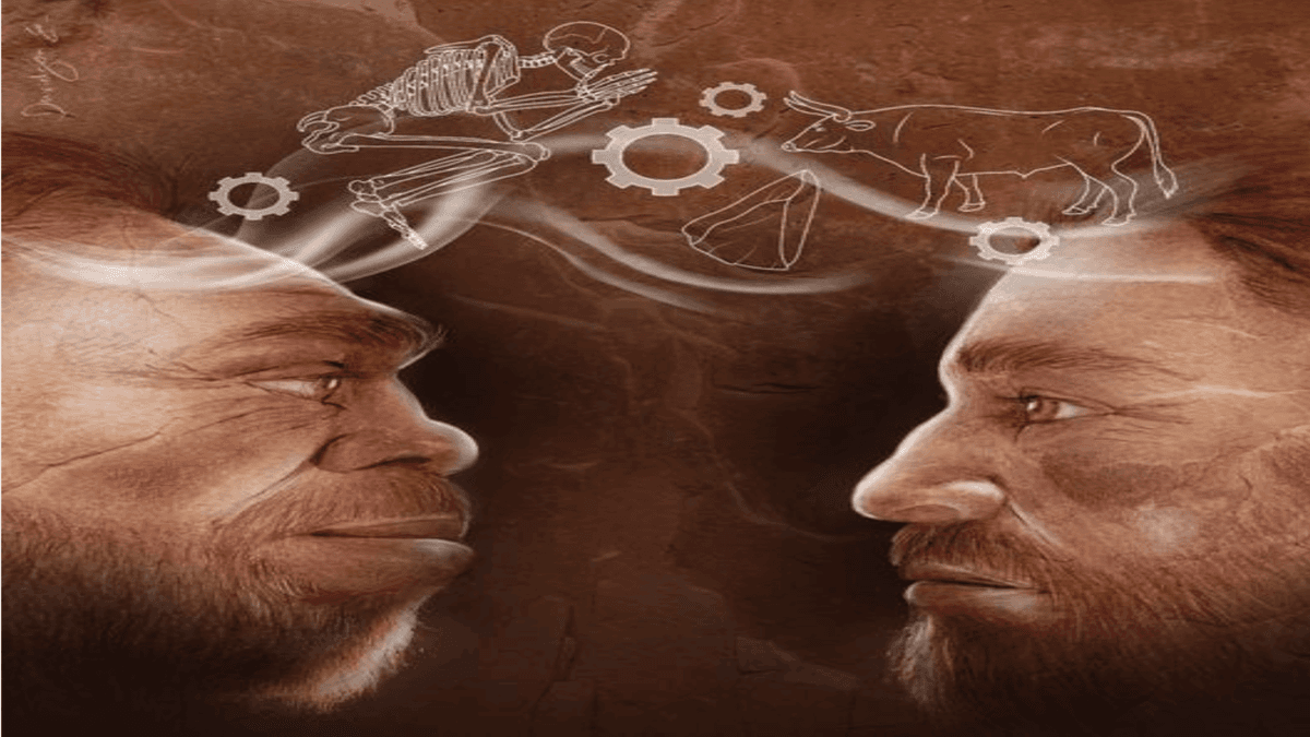 Penemuan Gua Tinshemet Ungkap Interaksi Sosial Kompleks Homo Sapiens dan Neanderthal