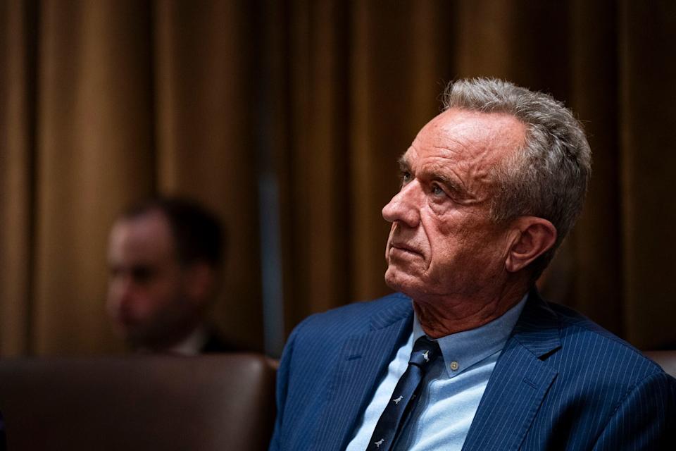 Robert F. Kennedy Jr. Usulkan Uji Obat Intensif pada Unggas Terinfeksi Flu Burung
