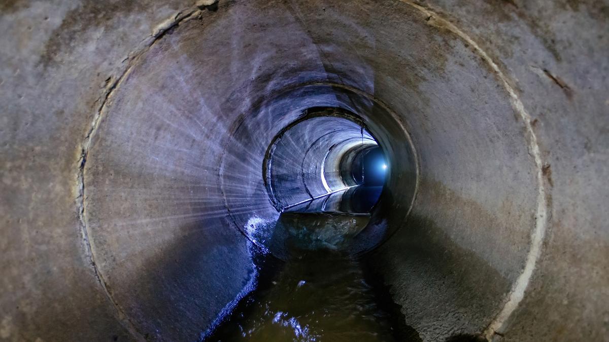 Inovasi Daur Ulang Lumpur Limbah Jadi Energi Hijau dan Pakan Hewan