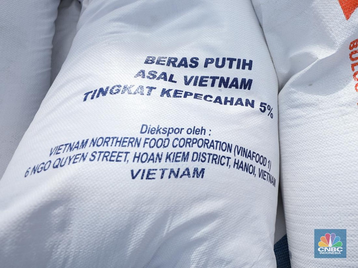 Impor Beras Menurun Drastis, Pemerintah Optimistis Surplus Hingga 2026