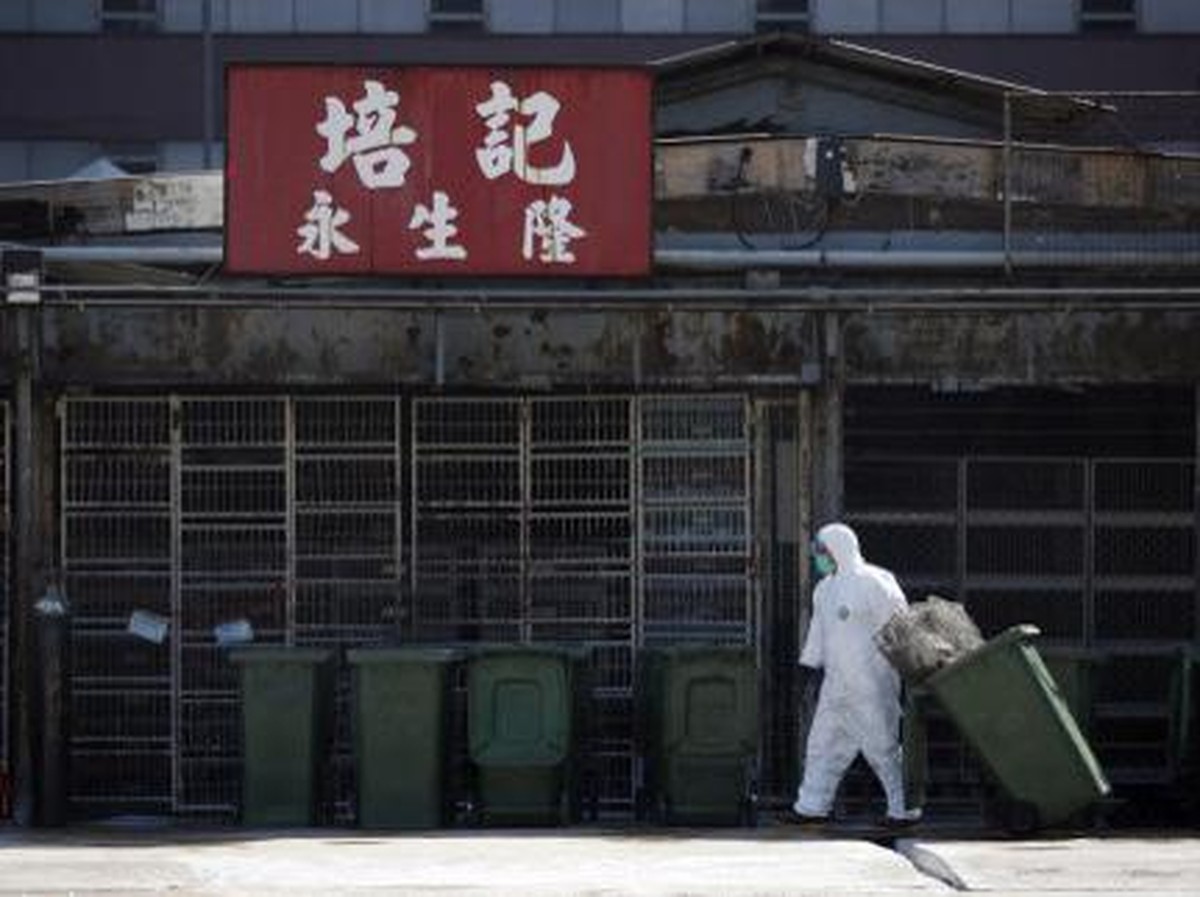 Wabah Flu Burung H7N9 Pertama di AS Ganggu Produksi dan Ekspor Unggas