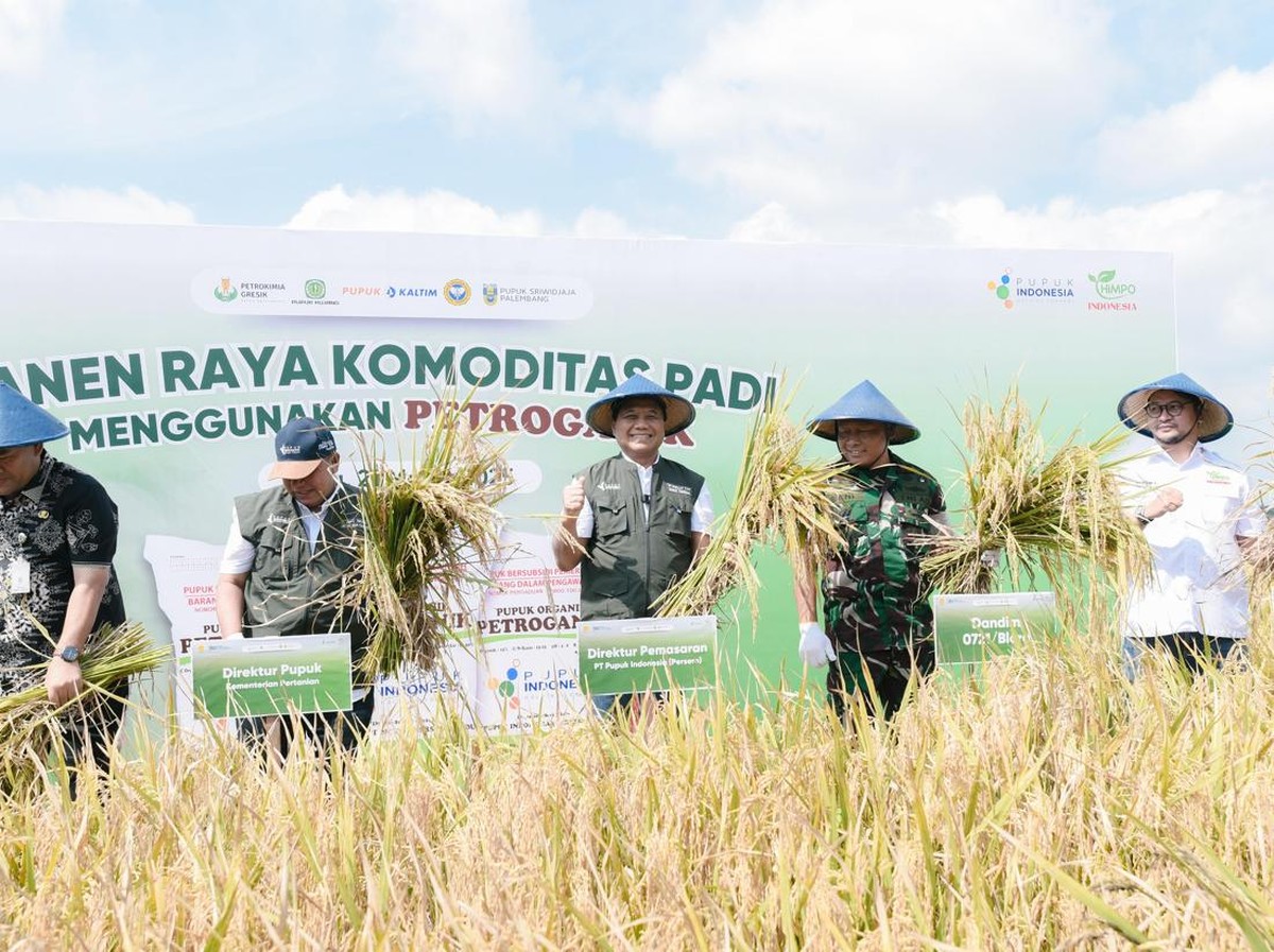 Pupuk Organik Petroganik Tingkatkan Produktivitas Padi Blora Hingga 17,2%
