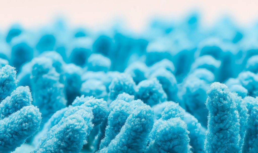 Peran Mikroba Usus dalam Mengurangi Kecemasan dan Menjaga Kesehatan Otak