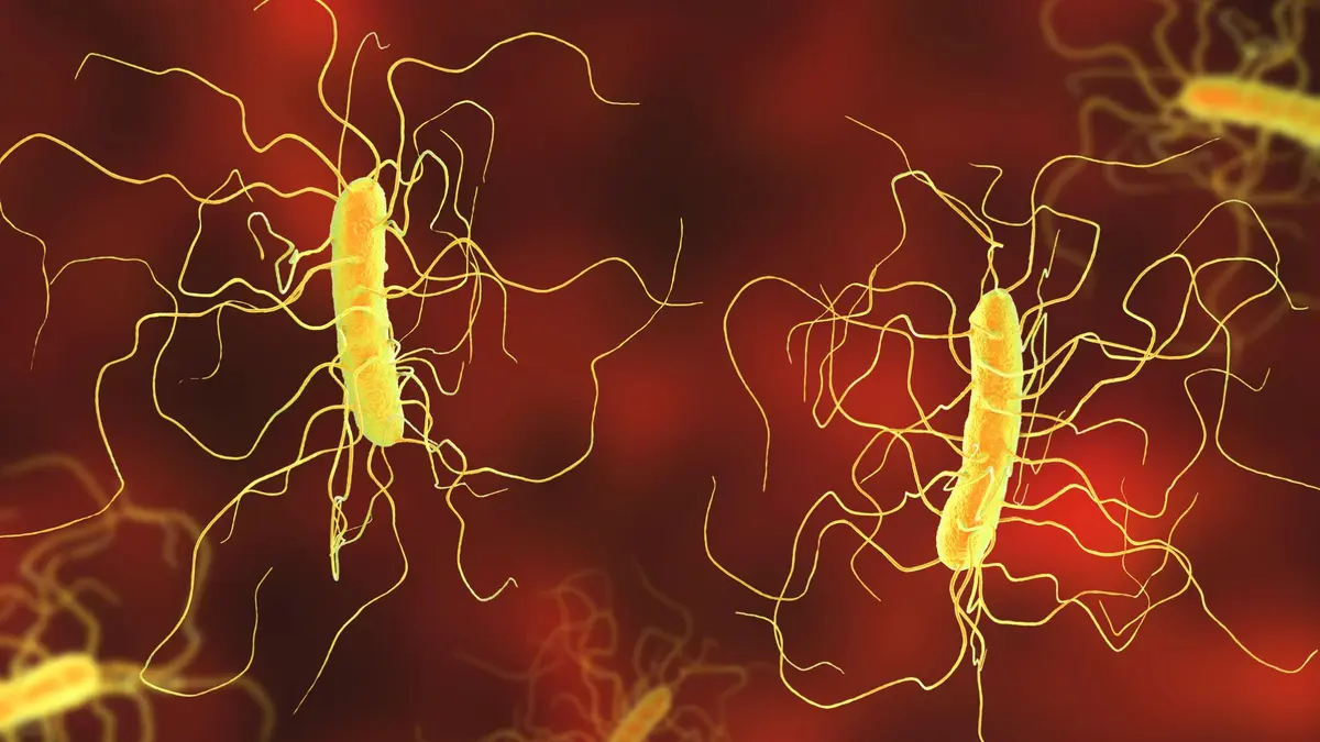 Bakteri Baru Ubah Metana Jadi Plastik Ramah Lingkungan Cepat