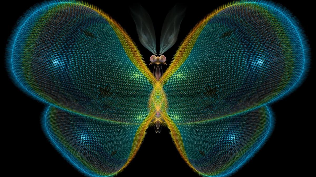 Penemuan Pola Energi Fraktal 'Hofstadter’s Butterfly' di Material Kuantum Asli