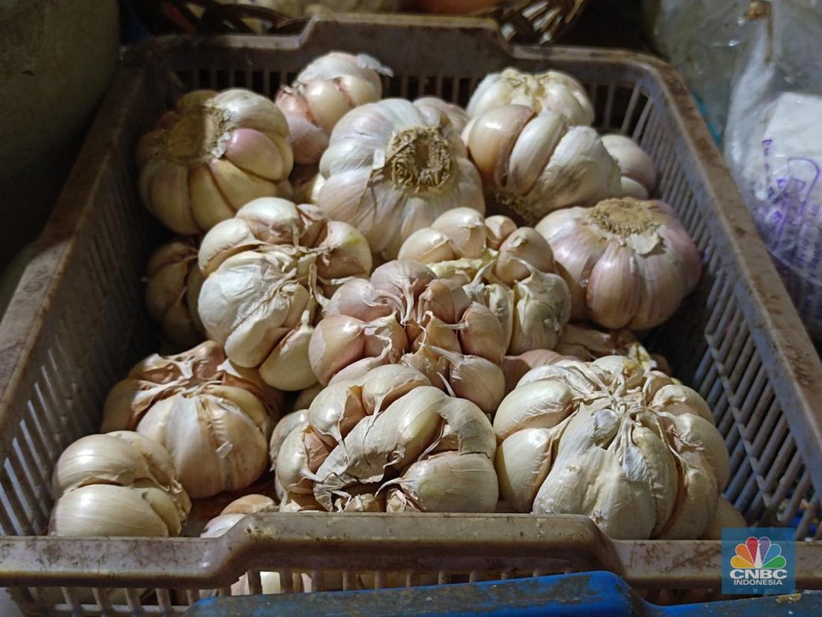 Harga Bawang Putih di Jakarta dan Sekitarnya Meroket Melebihi Rp50.000 per Kg