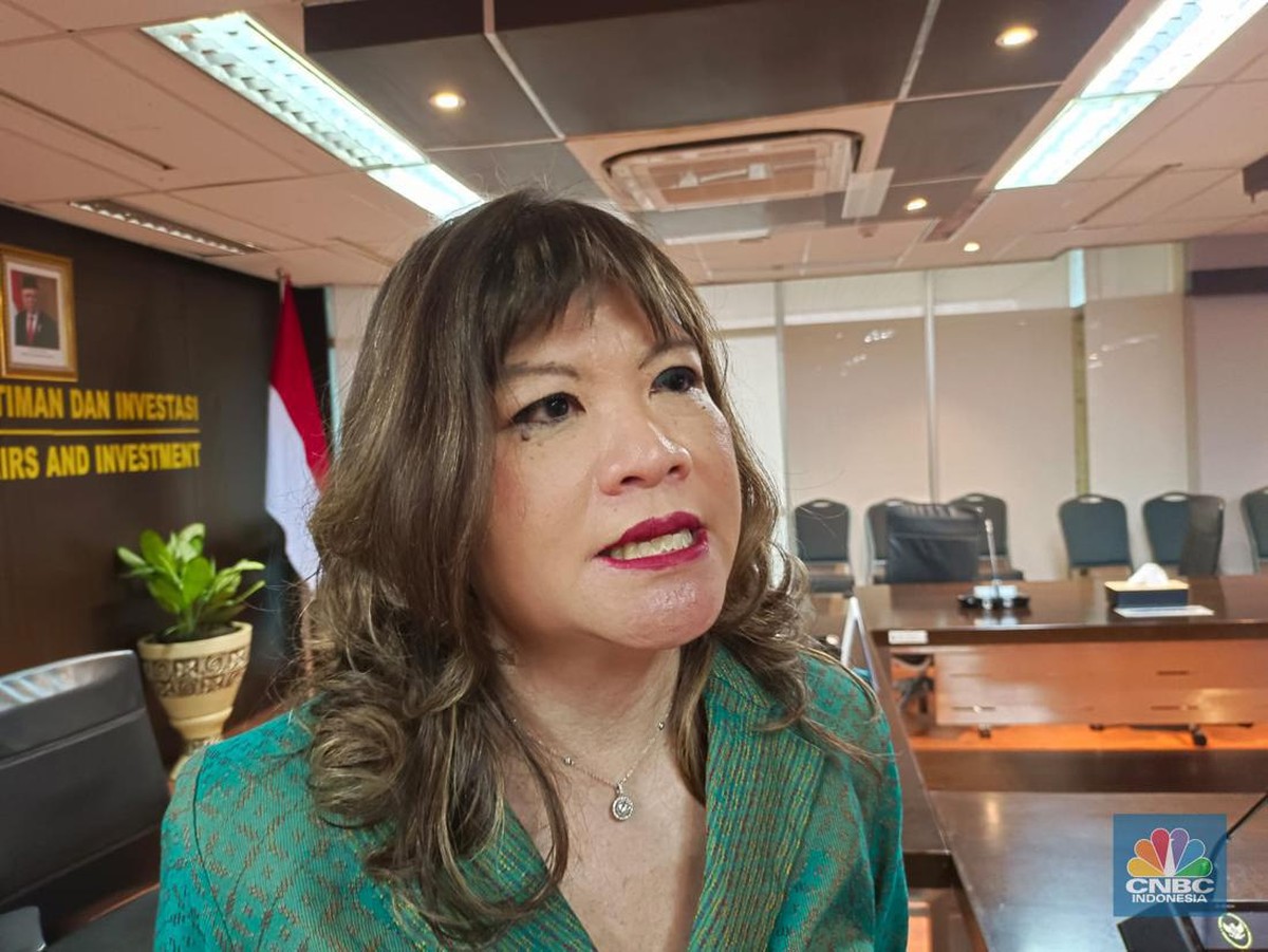 Tantangan Fiskal dan Moneter Hambat Stimulus Ekonomi Indonesia 2025