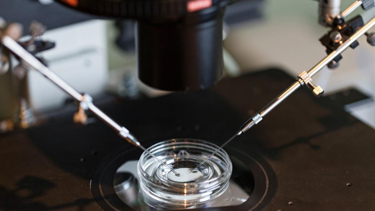 Glikan Alami Tingkatkan Umur Sperma dan Efisiensi Fertilisasi IVF