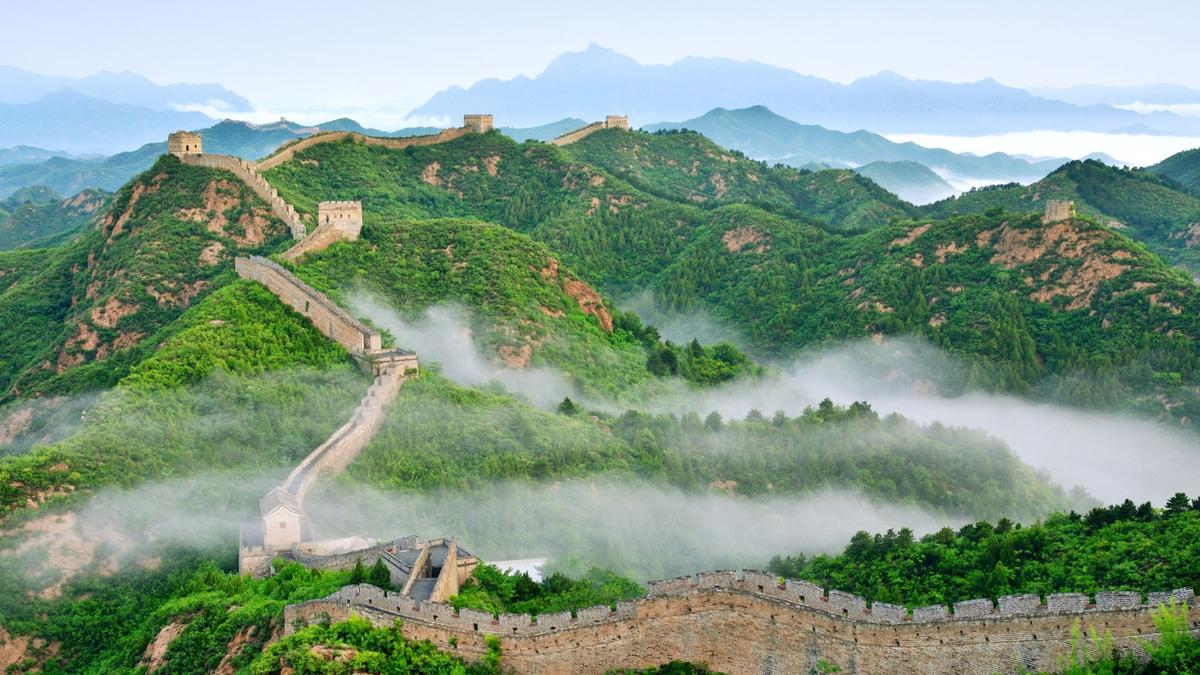 Penghitungan Pohon di China Menggunakan Teknologi Laser Ungkap 142,6 Miliar Pohon