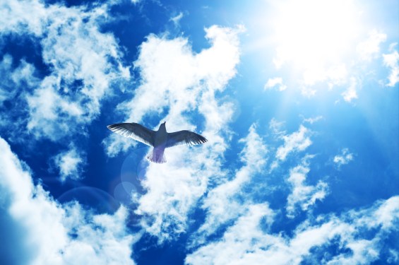 Gerakan Baru untuk Web Terdesentralisasi: Membebaskan Pengguna dari Kekuasaan Platform Besar