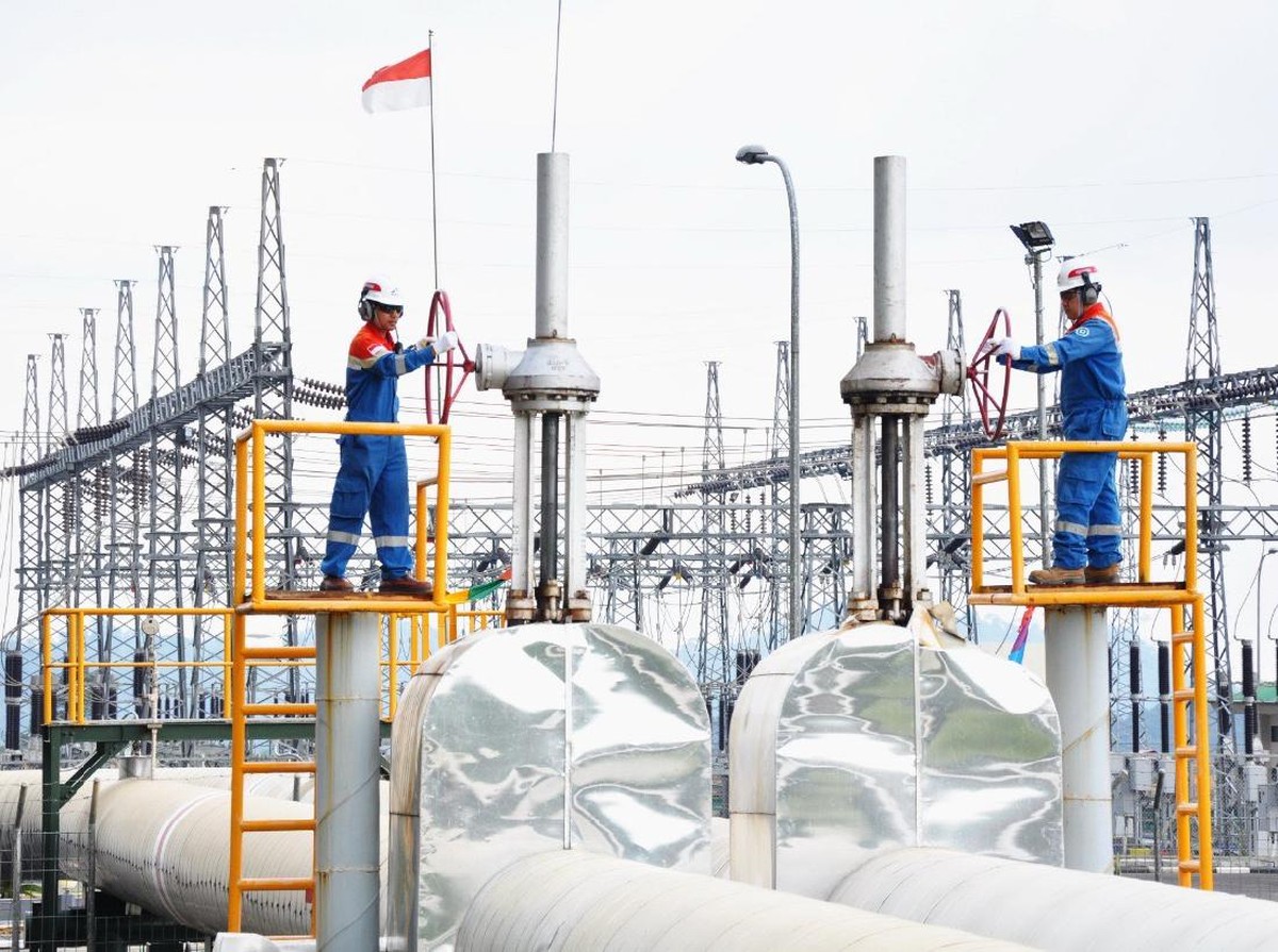 PGE Catat Pendapatan dan Produksi Tertinggi, Fokus Kembangkan Energi Panas Bumi