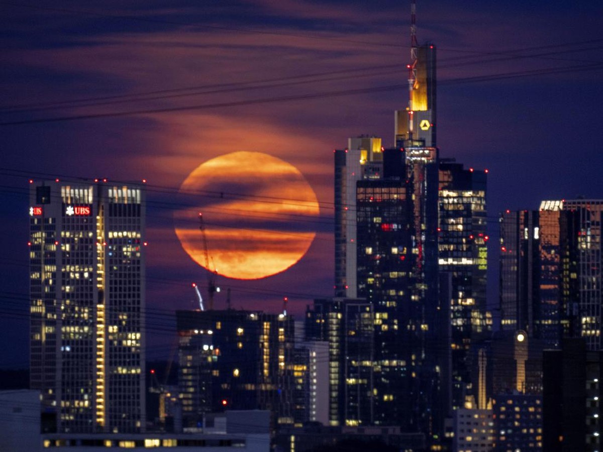 Respons Eropa Terhadap Kebijakan Trump: Investasi Naik Meski Ancaman Tarif AS