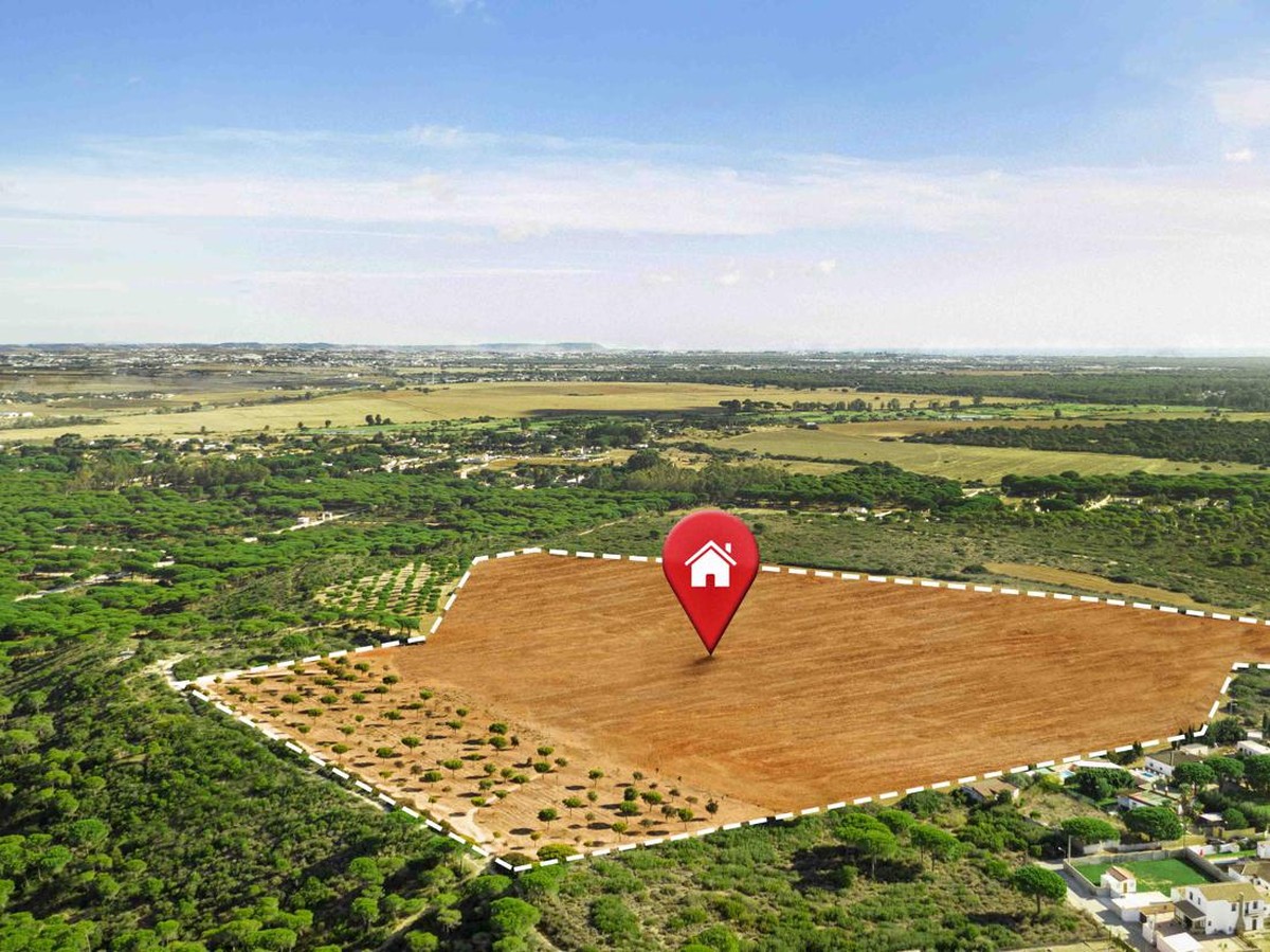 Pemerintah Atur Penertiban Tanah Terlantar untuk Maksimalkan Manfaat Lahan