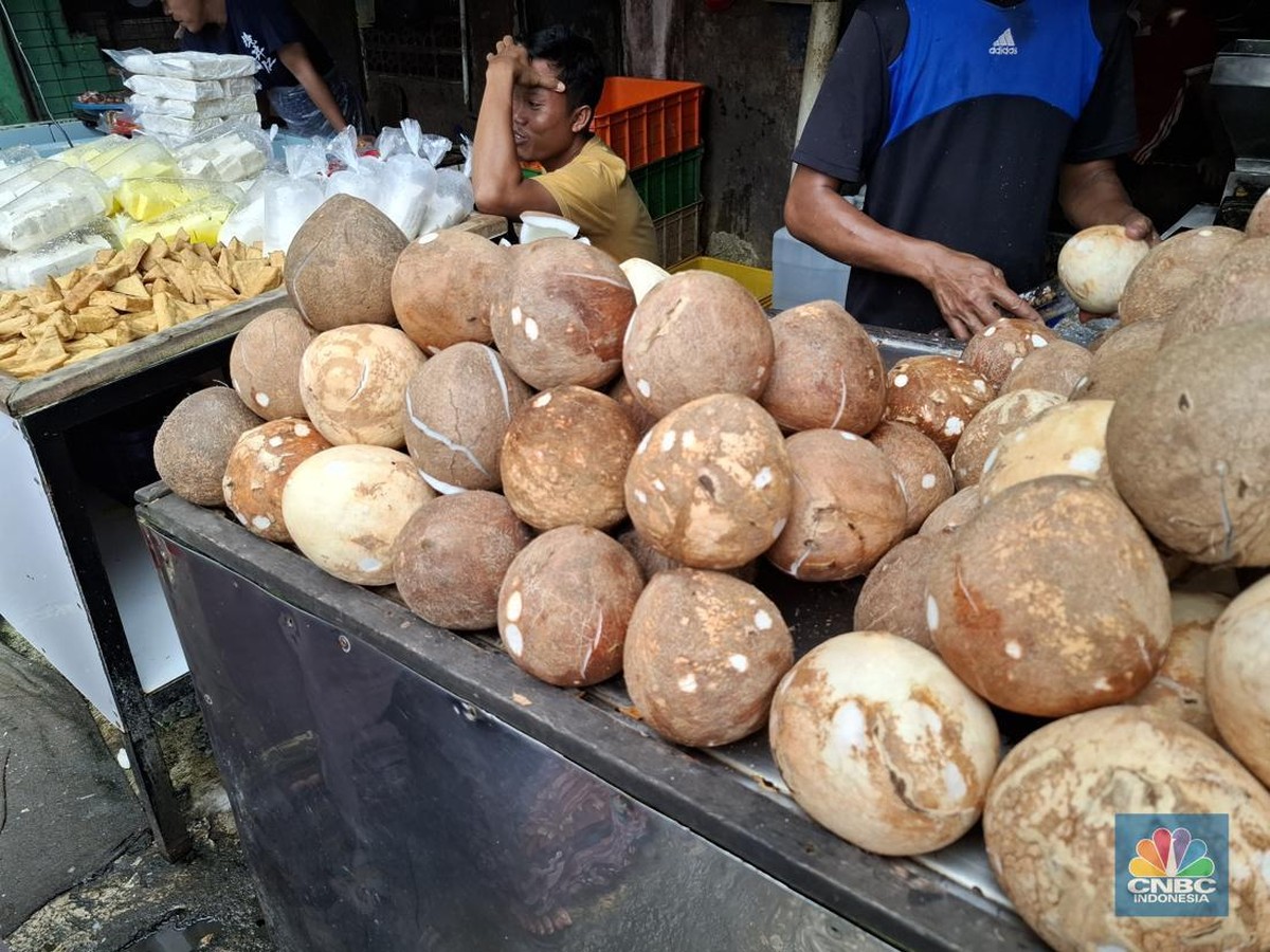 Harga Kelapa Parut Melambung Karena Permintaan Ekspor Menjelang Lebaran 2025