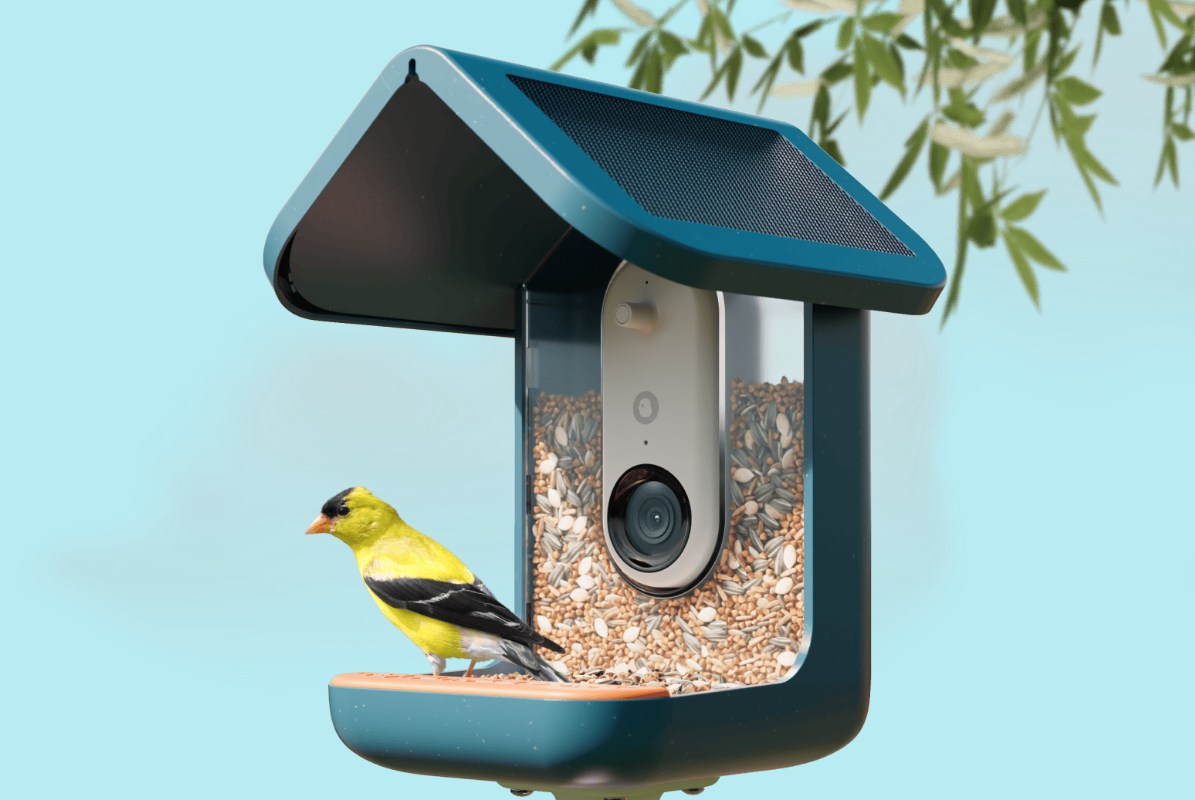 Bird Buddy Pro: Feeder Burung Pintar dengan Kamera AI, Solusi Mudah Mengamati Burung