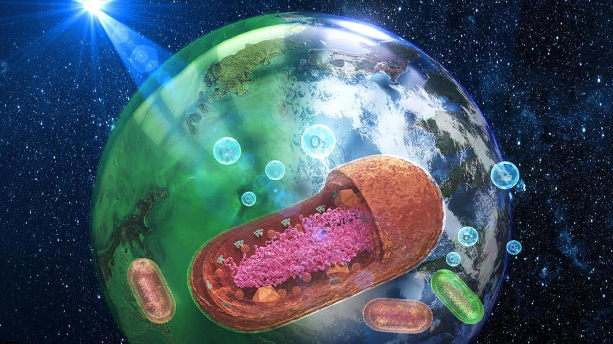 Lautan Hijau Bumi Purba: Rahasia Cyanobacteria dan Evolusi Kehidupan Awal