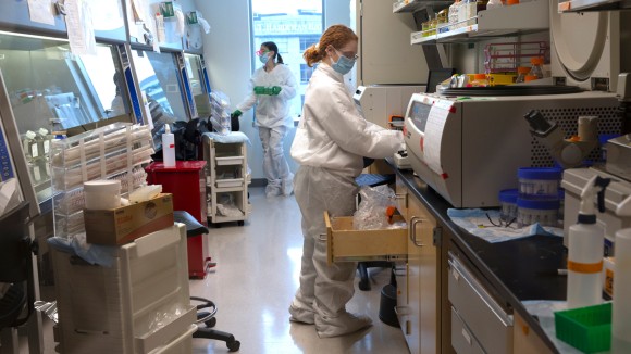 Dana Hibah AS Berkurang, Peneliti Soft-Money Terancam Kehilangan Pekerjaan