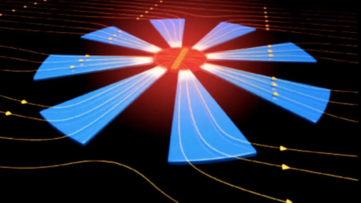 Mikrostruktur Bunga dari Nikel-Besi Perkuat Medan Magnet Secara Lokal