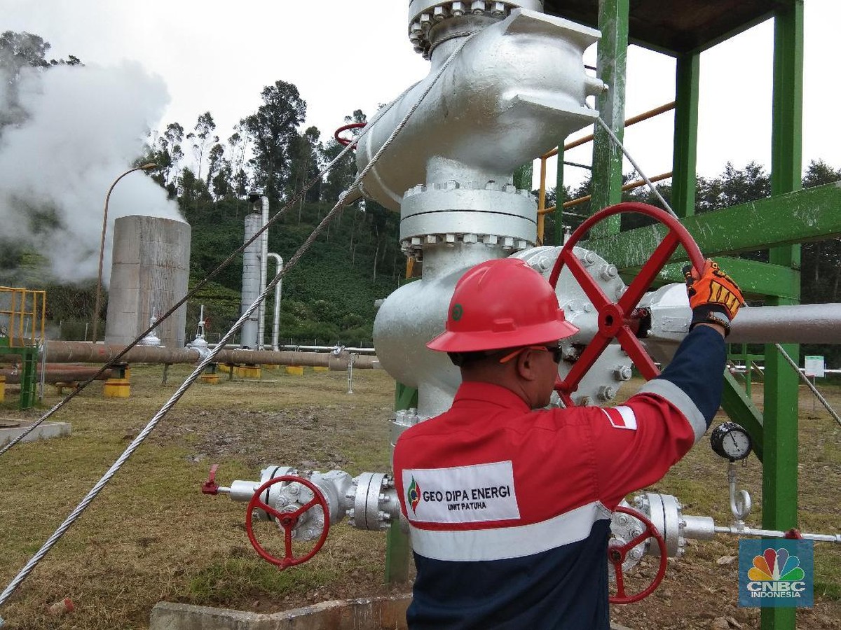 Kapasitas Energi Terbarukan Global Makin Tumbuh, Tapi Target 2030 Masih Terancam