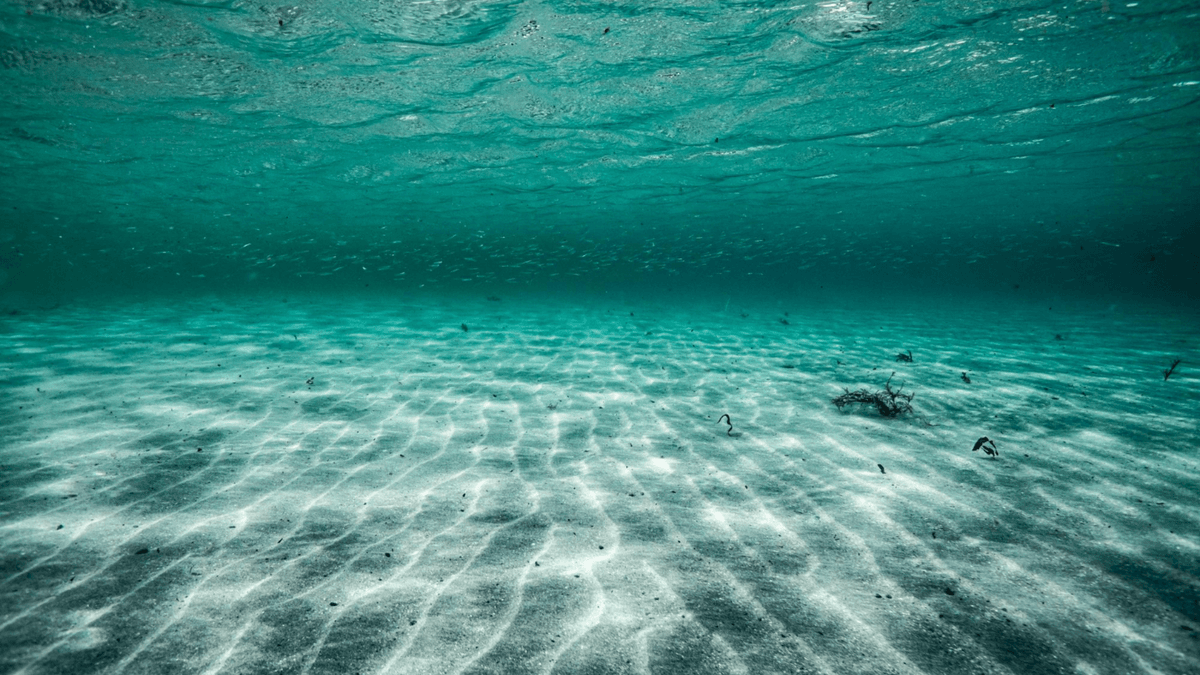 Menghidupkan Kembali Alga Purba: Menguak Rahasia Ekosistem Laut Baltik 7.000 Tahun Lalu