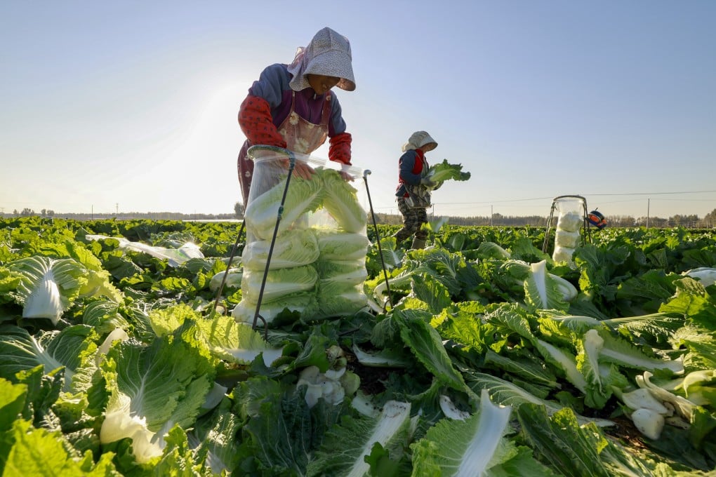 Inovasi AI Membantu Petani Desa China Tingkatkan Hidup dan Usaha