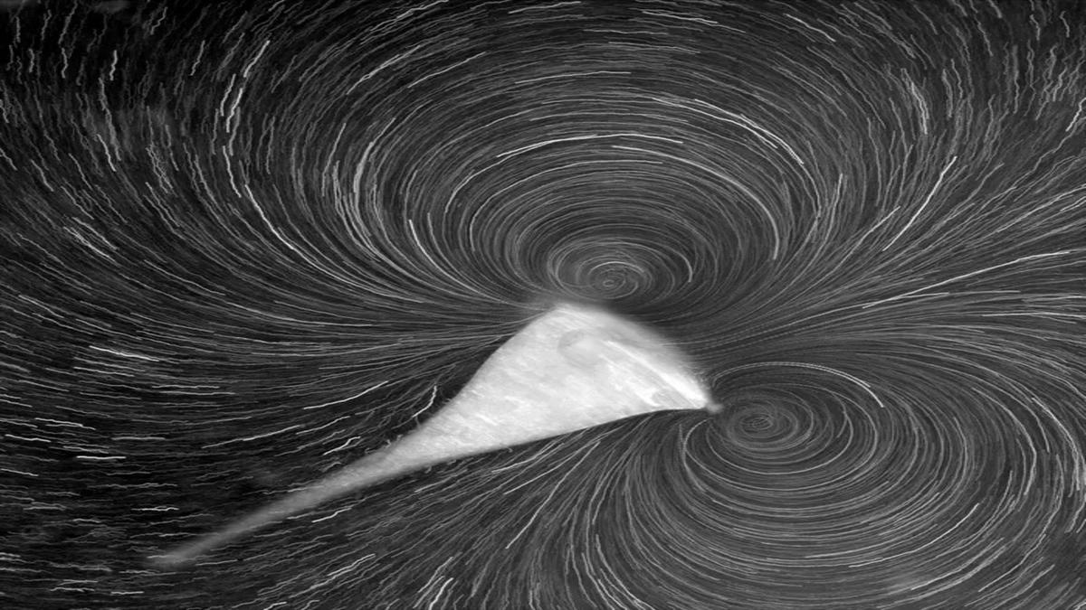 Bagaimana Organisme Uniseluler 'Hangout' Jadi Kunci Evolusi Multiseluler