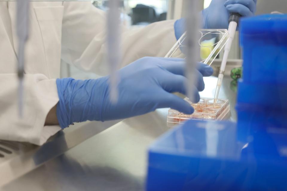 65 Equity Dukung Akuisisi Besar untuk Perkuat Perusahaan Bahan Farmasi di Eropa