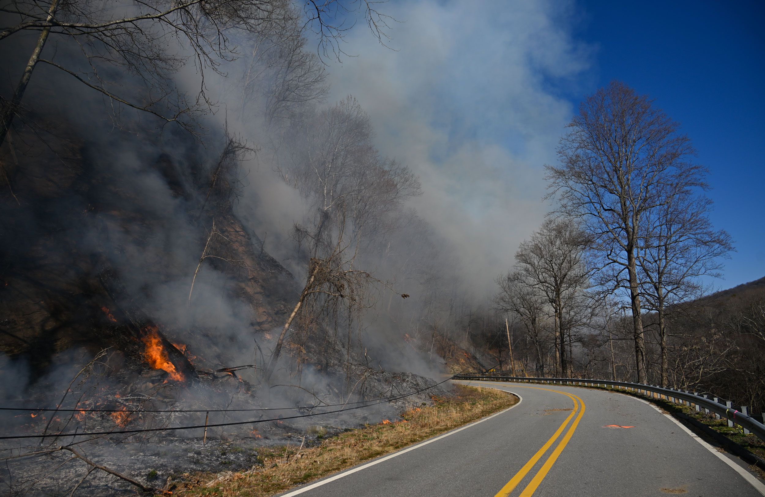 Kebakaran Hutan Meluas di Carolinas Akibat Kondisi Kering dan Perubahan Iklim