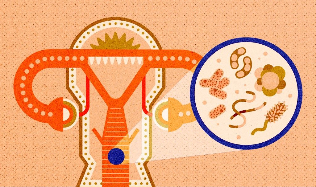 Peran Penting Mikrobioma Rahim dalam Meningkatkan Kesuburan dan Kehamilan