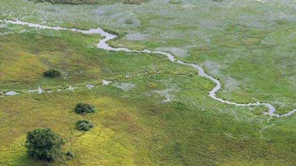 Mengungkap Rahasia DNA Perempuan Kuno di Sahara yang Pernah Hijau