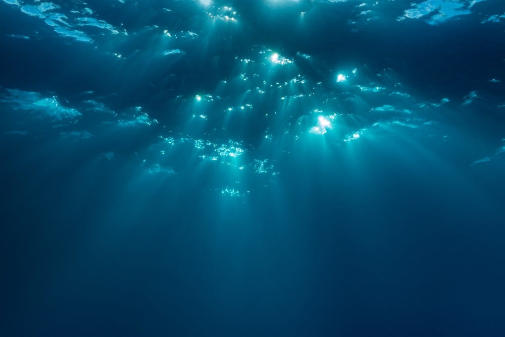 Habitat Bawah Laut China: Kunci Masa Depan Energi dan Pelestarian Laut Dalam