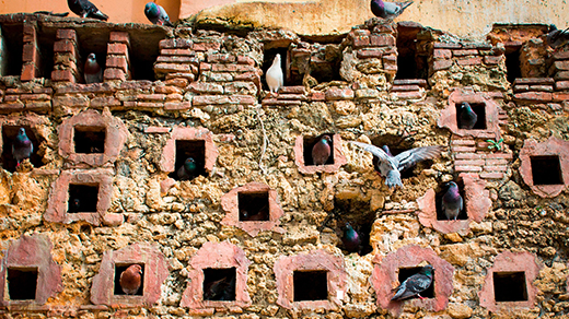 Prinsip Empty-Pigeonhole: Cara Baru Memahami Kesulitan Masalah Komputasi