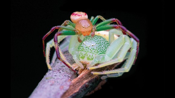 Pentingnya Regulasi dan Kolaborasi dalam Perkembangan Kecerdasan Buatan di Indonesia