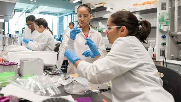 NSF Pangkas Jumlah Fellowship Peneliti Muda Hingga Setengah, Masa Depan Sains Terancam