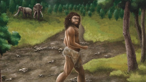 Penemuan Fosil Rahang Denisovan di Taiwan Perluas Peta Distribusi Manusia Purba