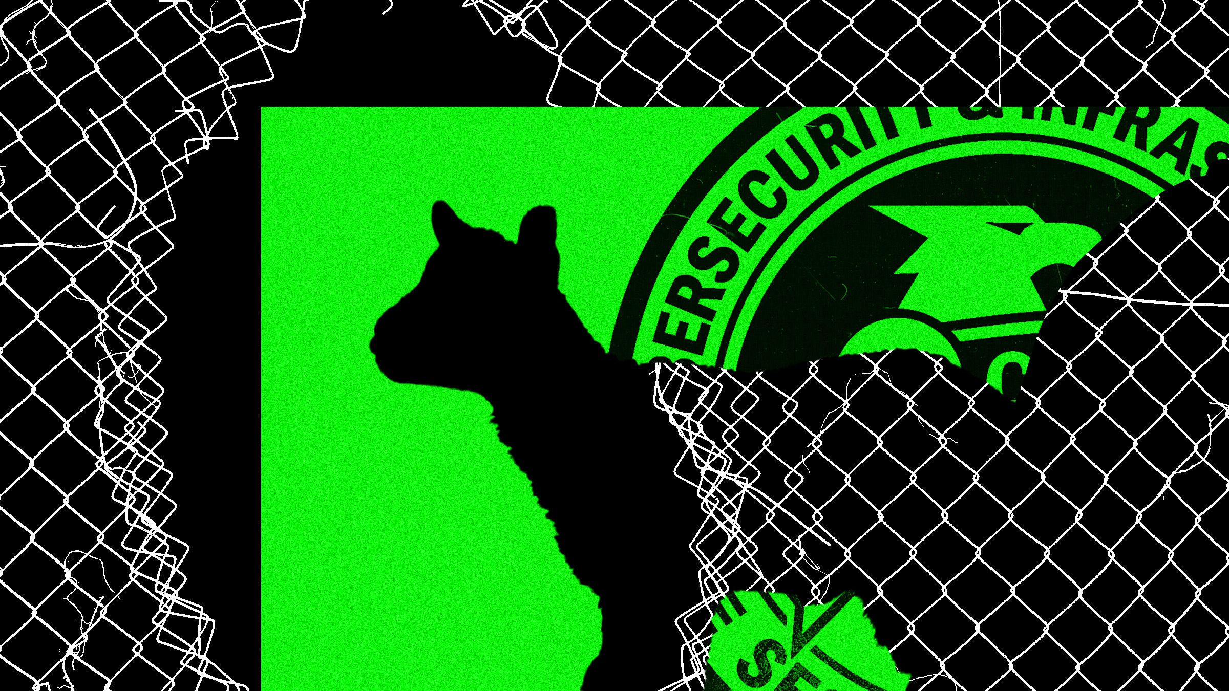 Krisis di CISA: Ancaman Serius bagi Keamanan Siber Nasional Amerika Serikat