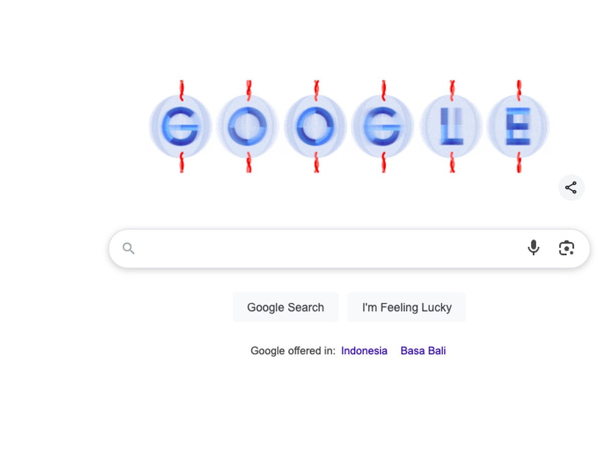 Google Rayakan Hari Kuantum Sedunia dengan Doodle Superposisi Kreatif