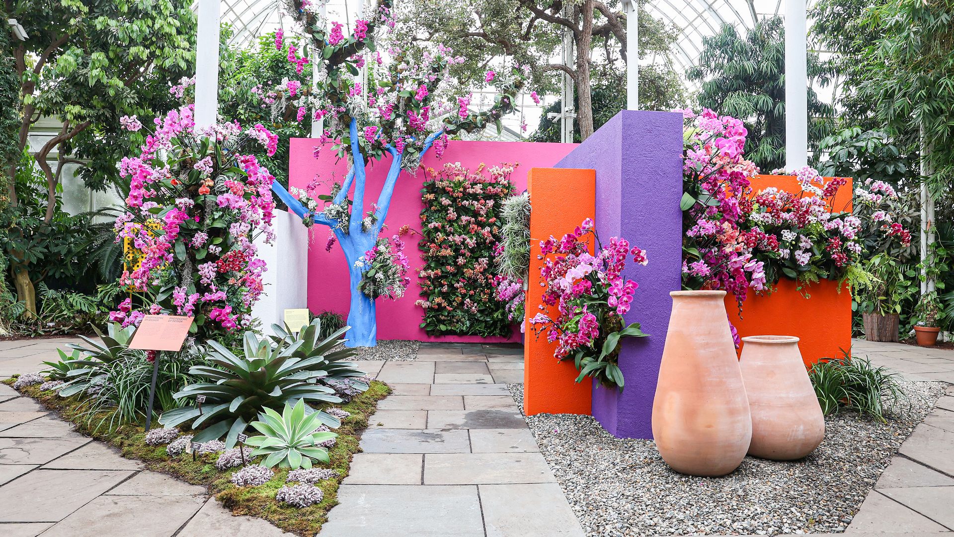 Kebun Botani Terpopuler di AS Kuasai Instagram dengan Konten Edukatif dan Visual Menarik