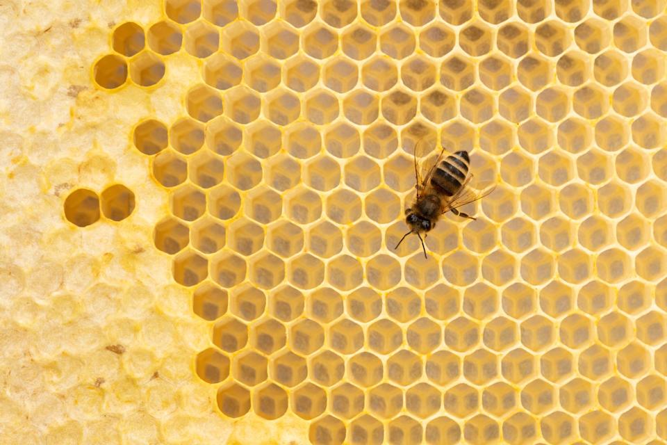 Walmart Gunakan Pemetaan Heksagonal untuk Percepat Pengiriman Same-Day Delivery