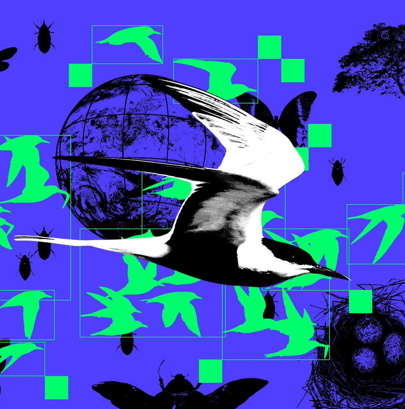 AI dalam Konservasi Satwa: Solusi Cepat Tapi Perlu Hati-hati