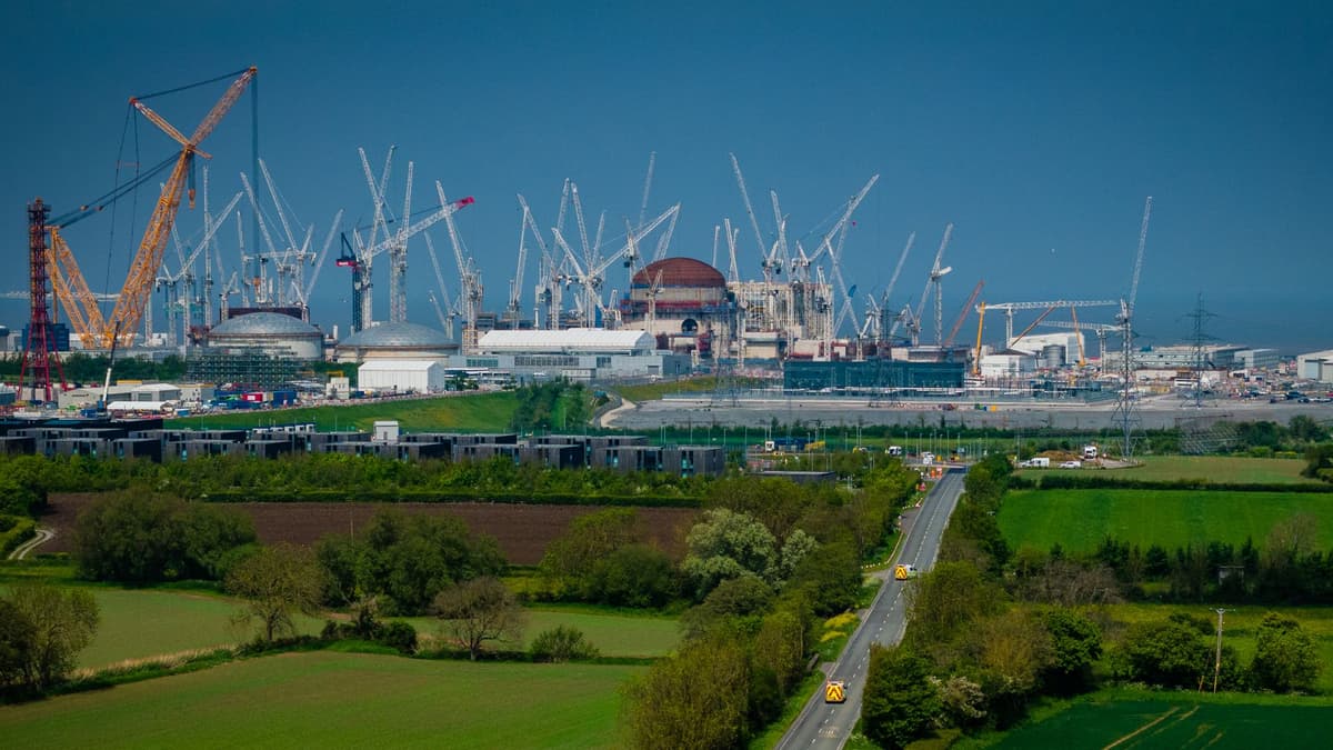 Infestasi Tikus Mengancam Proyek Pembangkit Nuklir Besar Inggris Hinkley Point C