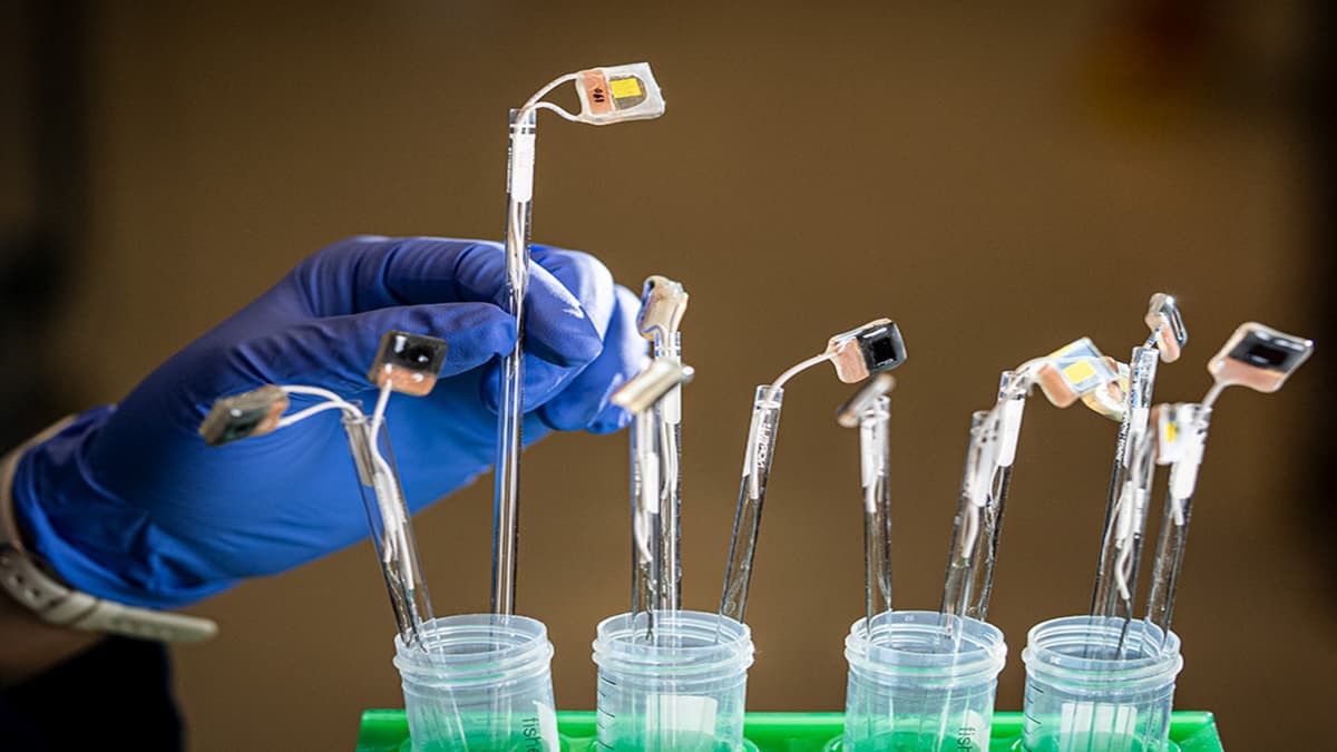 Penemuan Daun Buatan Pengubah Karbon Dioksida Jadi Bahan Bakar Ramah Lingkungan