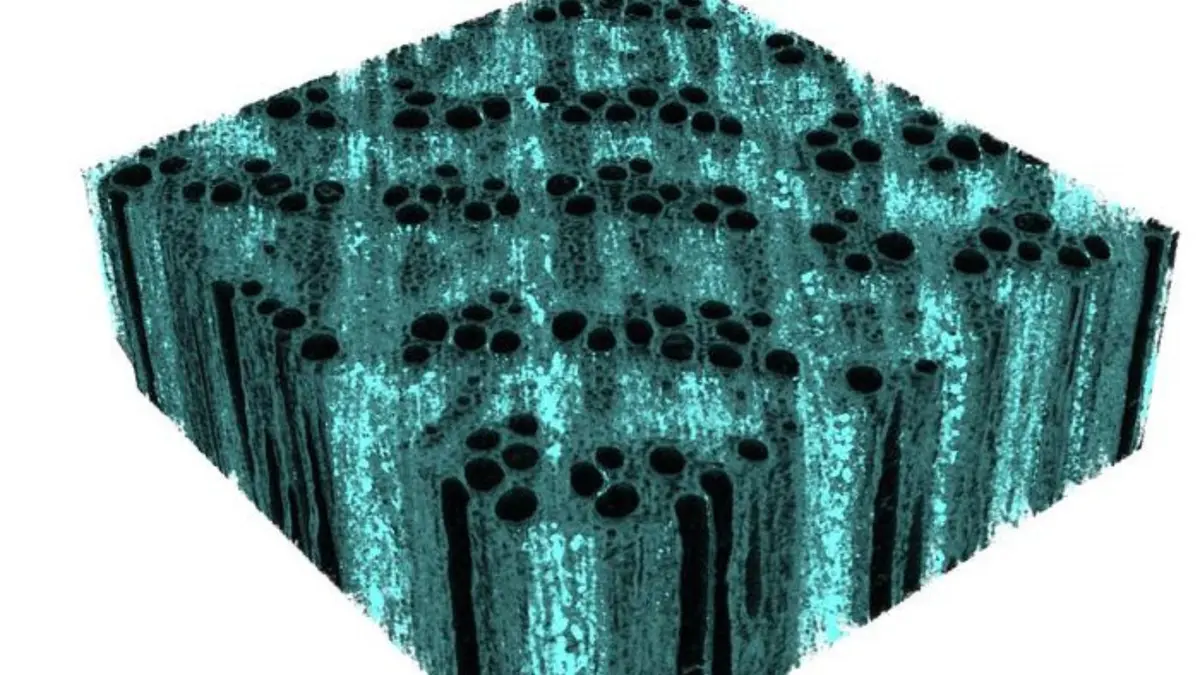 Menguatkan Kayu dengan Nano-Besi untuk Bangunan Ramah Lingkungan