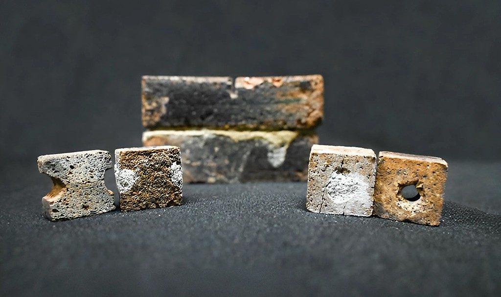 Bakteri Bantu Perbaiki Bata dari Tanah Bulan untuk Habitat NASA Artemis