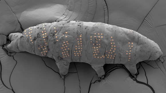 Memahami Artificial Intelligence: Manfaat, Tantangan, dan Masa Depan Teknologi