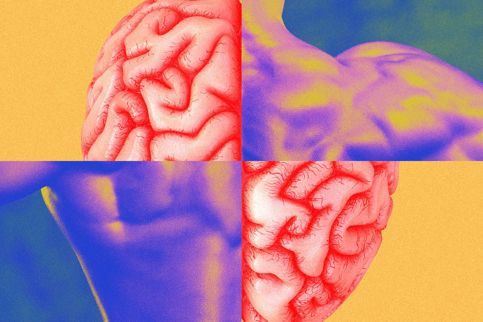 Memahami Memori Epigenetik Otot: Rahasia Cepat Pulih dan Tumbuh Otot Setelah Latihan